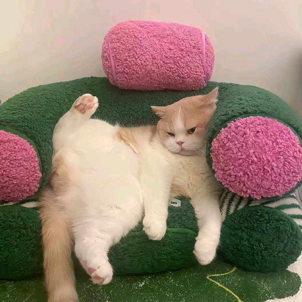 溜达