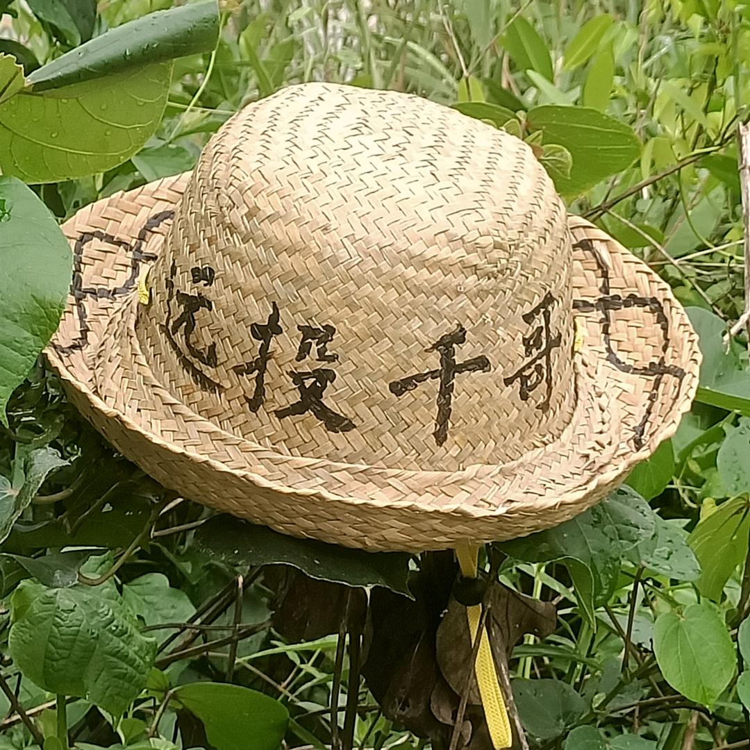 远投千哥