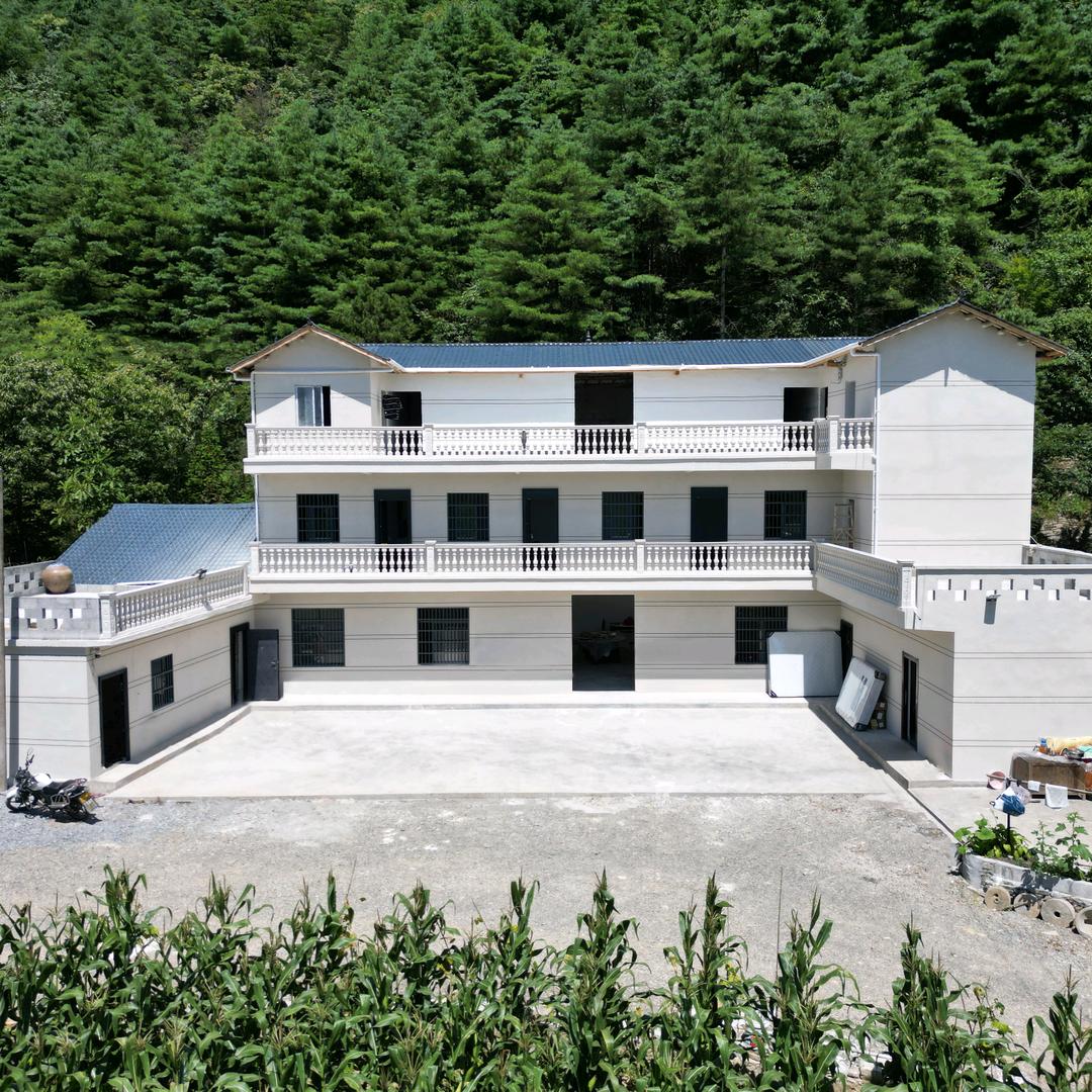 森林守护