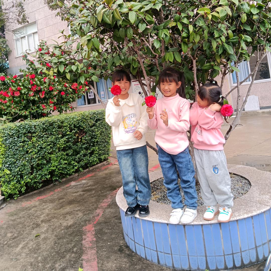 晴晴诺诺的奶奶