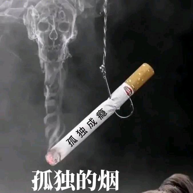 👉孤 独 的 烟