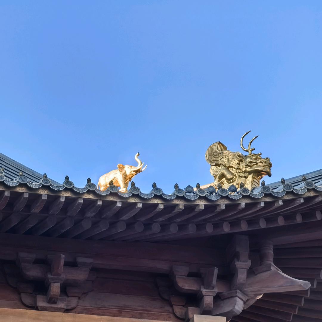 茜茜的小星球