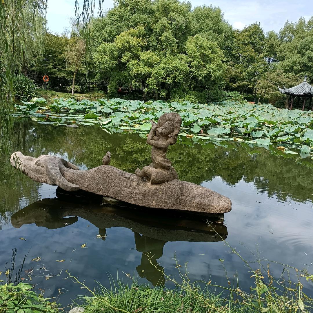 槿榆