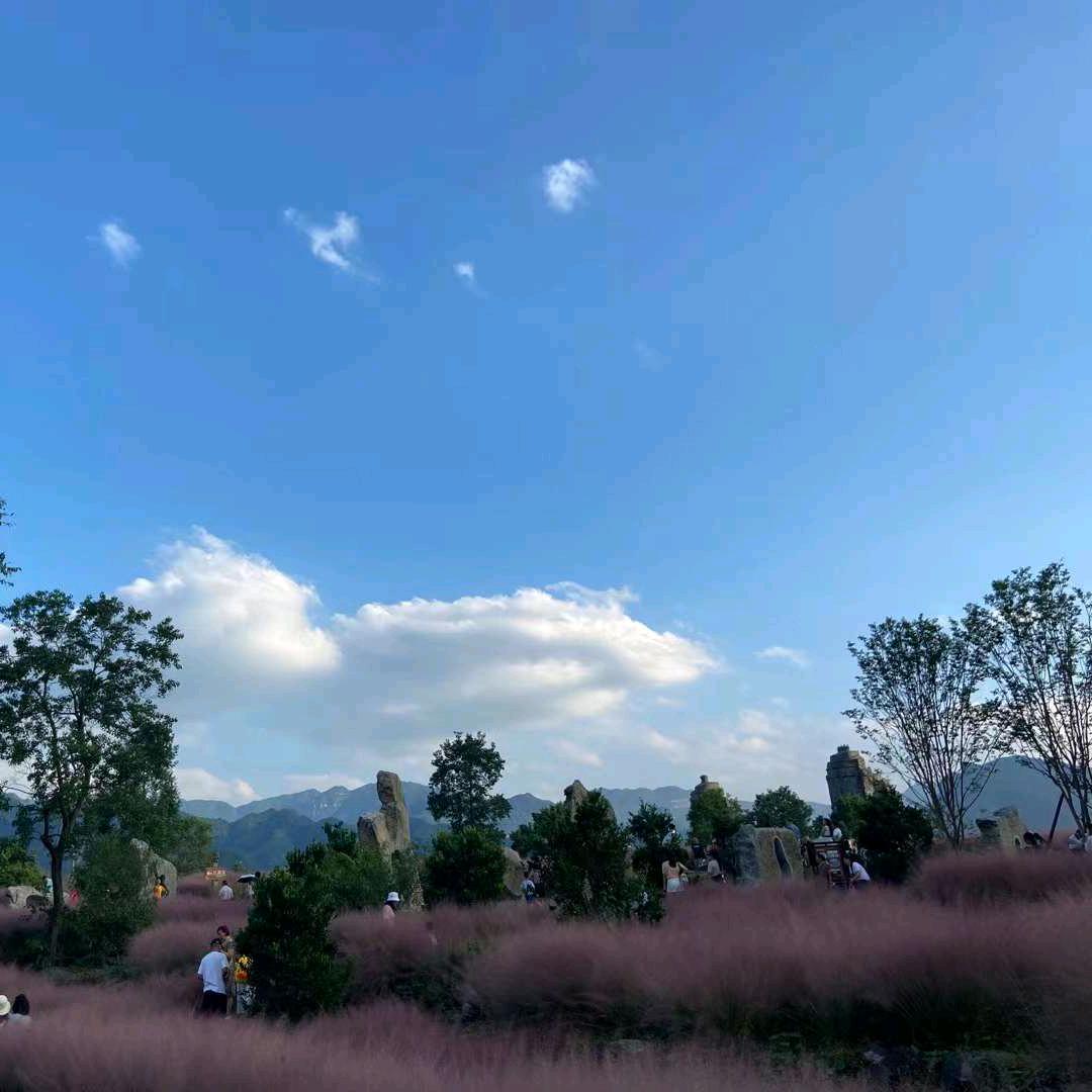 情空万里
