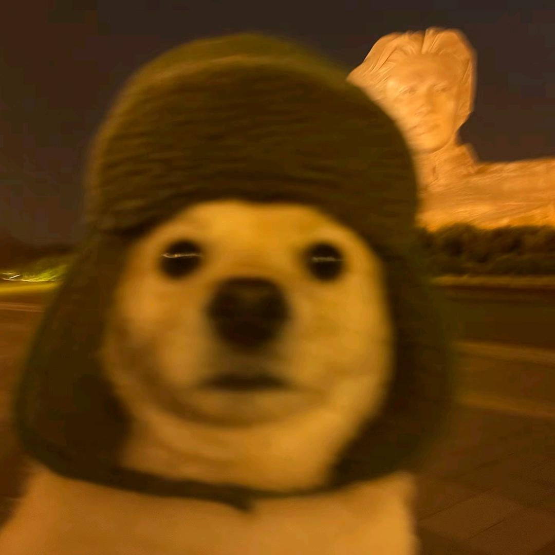 出门要多揣两块砖头