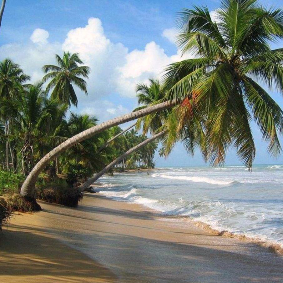 让【李】安个家