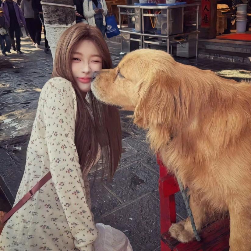 土豆你个破忒头