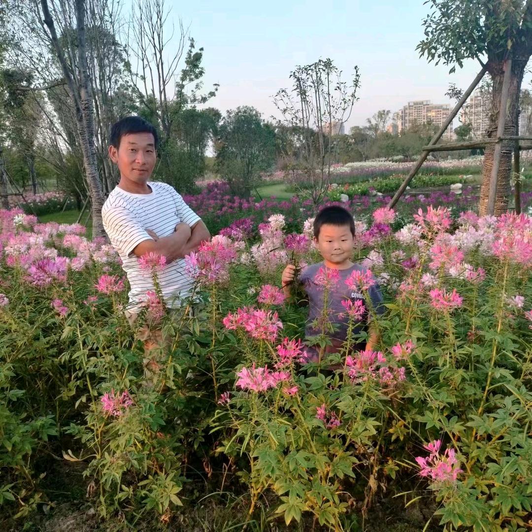 ℒℴѵℯ🥀暖你三生᭄࿐