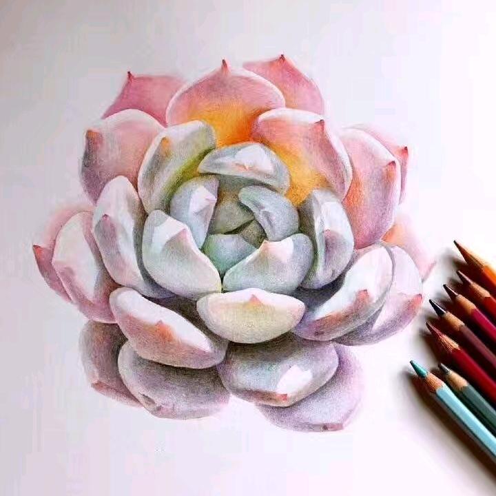 时间煮雨我煮鱼