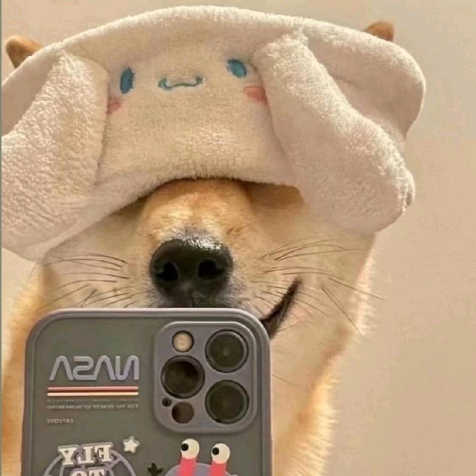 ㅤ  ㅤ  ㅤ  ㅤ  ㅤ  ㅤ  ㅤ