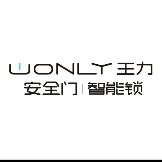 三门峡王力智能门锁