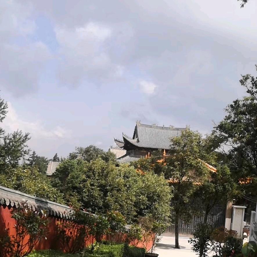 圆滚滚呢她