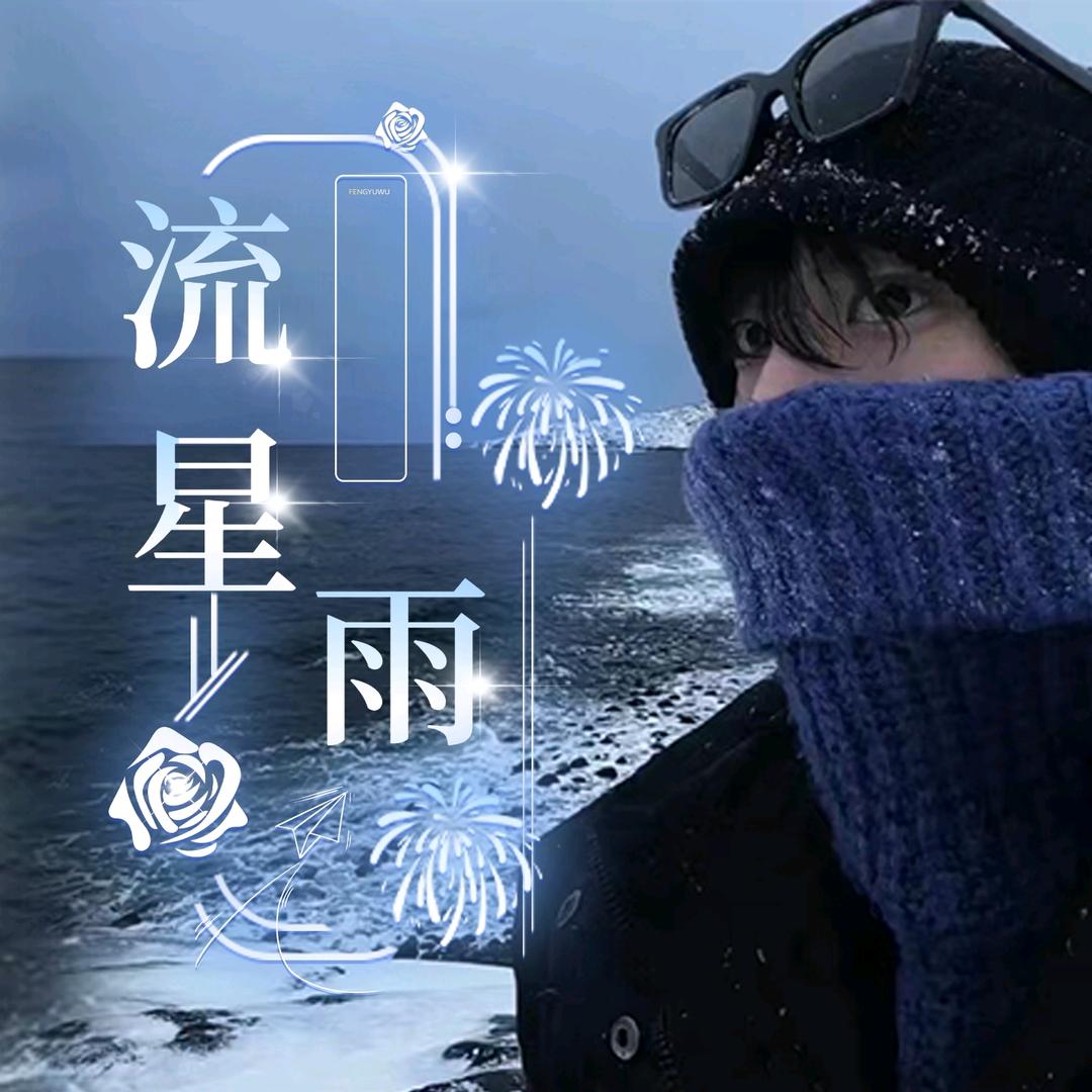 流星雨💫蜜儿💫冰眸💫未名宠