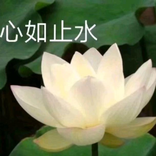 晋姐