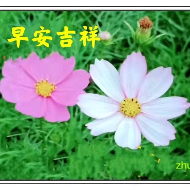 @乐乐