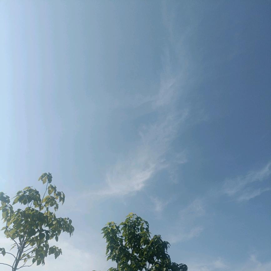 安心( ﹡ˆoˆ﹡ )