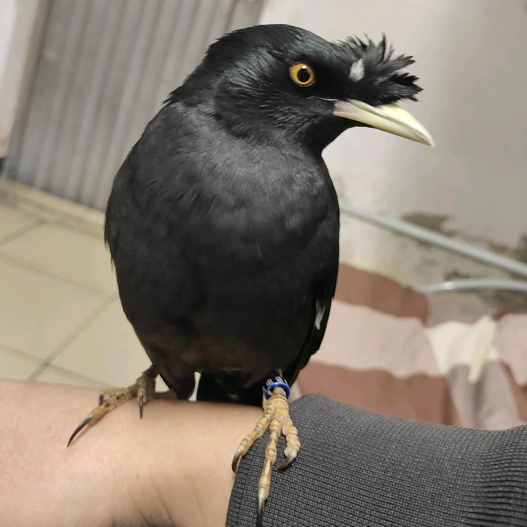 往后余生都是你