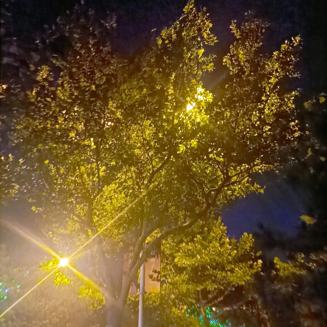 零冬