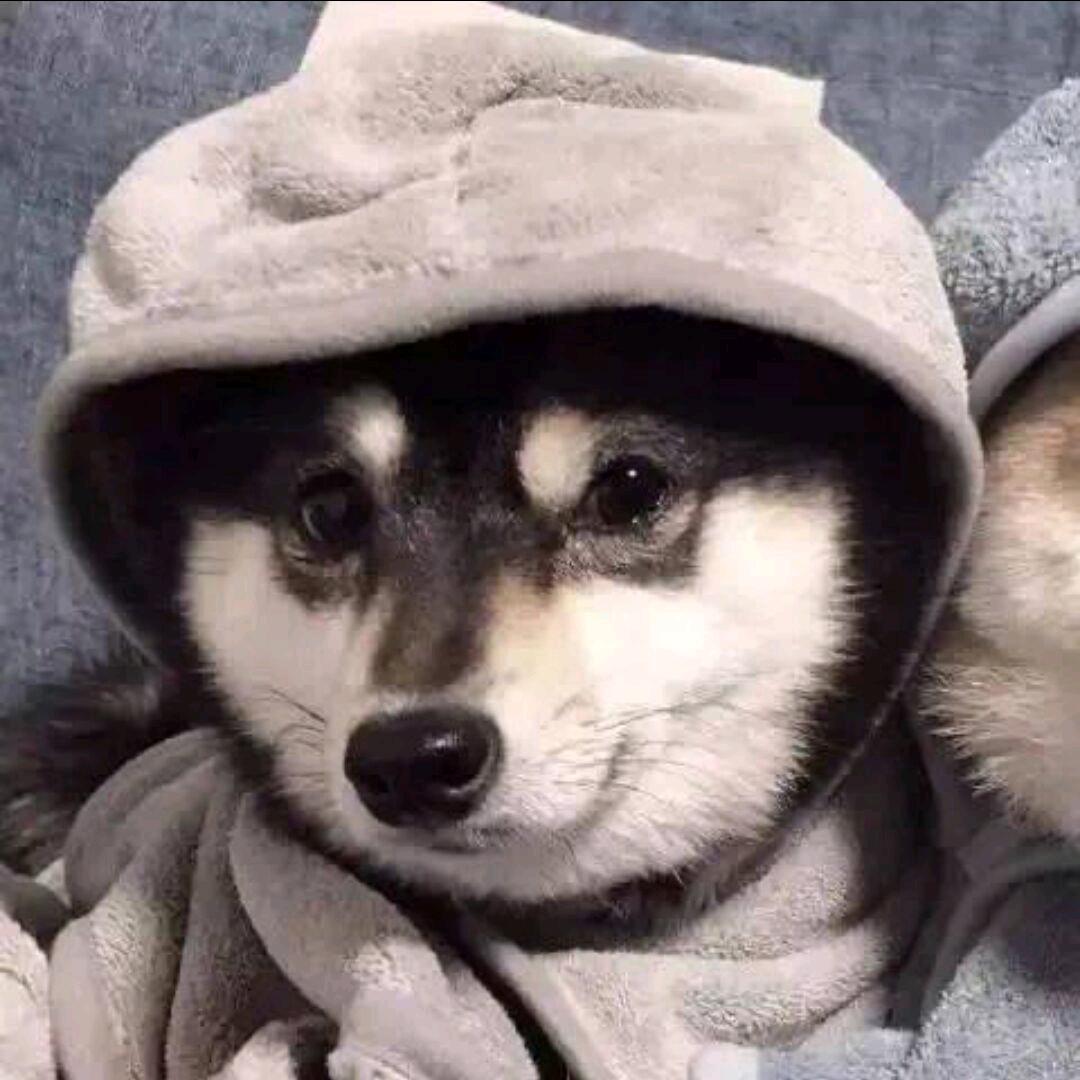 超级自信的帅比