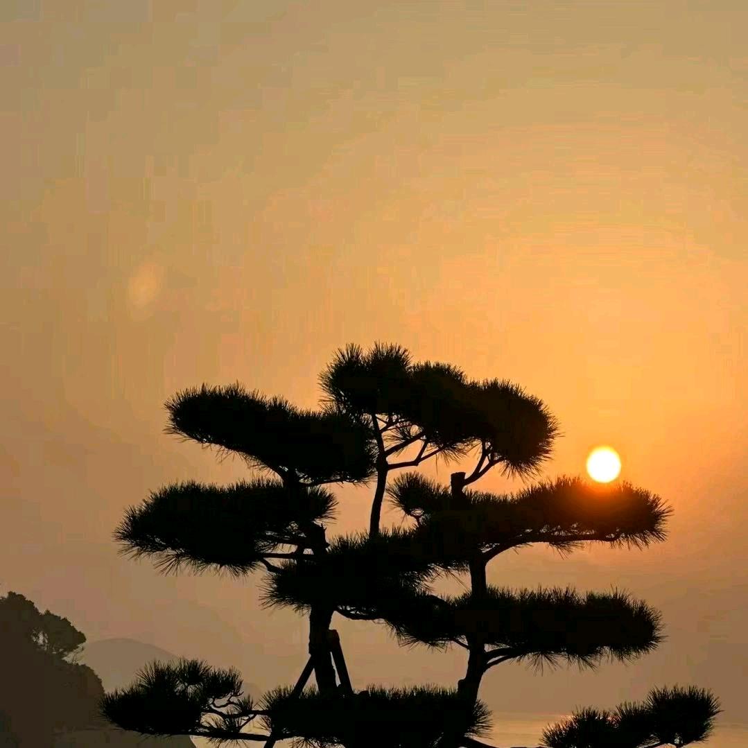 声东击西