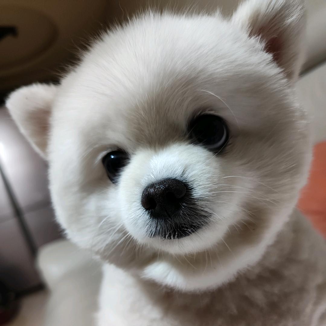 过去