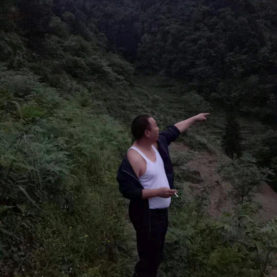 诚实做人，