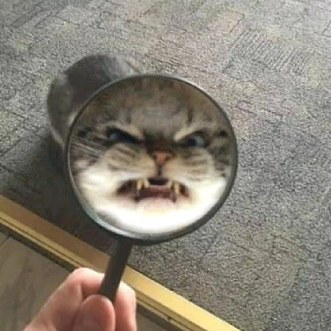 回路人
