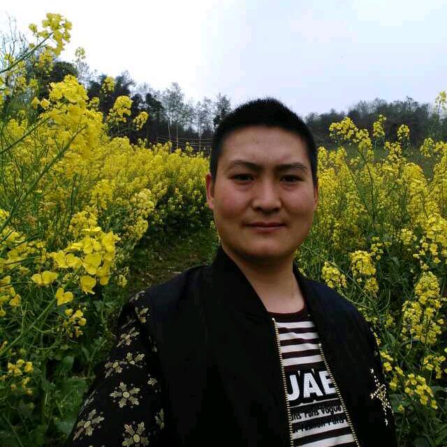 沙雅胡杨魂根雕