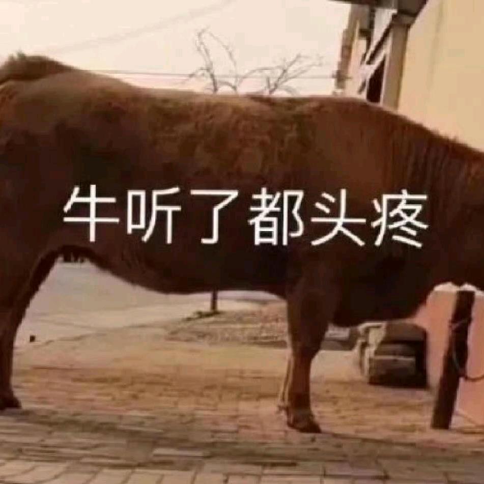 书背了吗