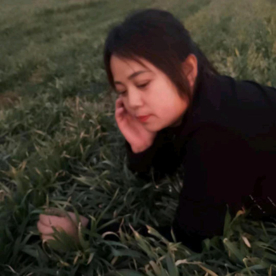 桑丽里脊肉饼，鸡排饼热卖中