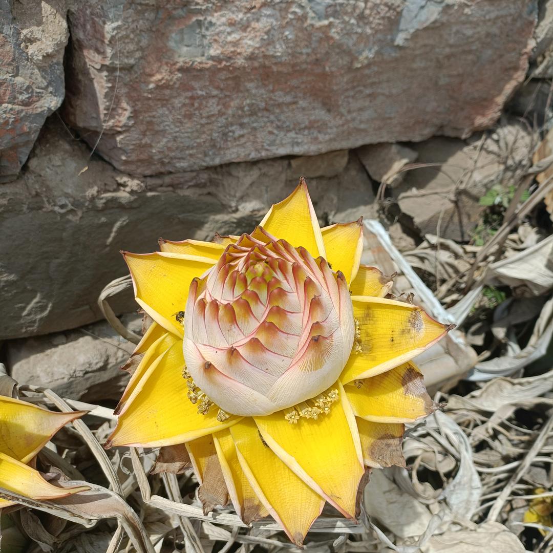 @俗人♀