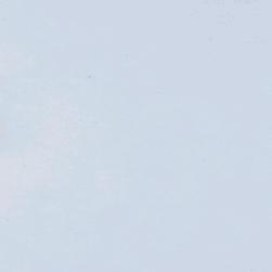 欣🍒