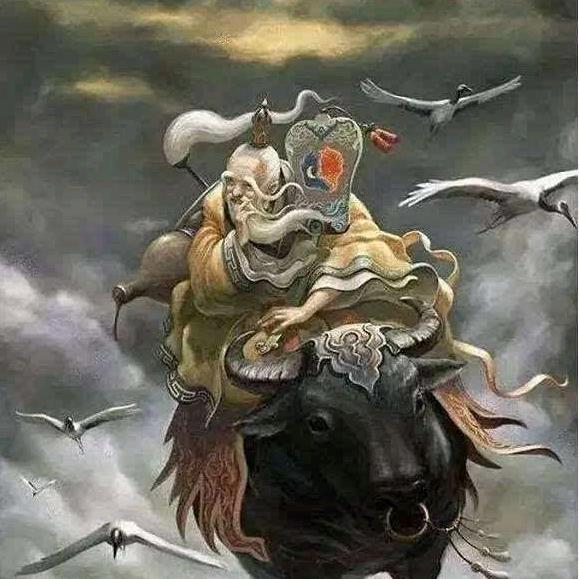 牡丹鹦鹉🦜，玄凤，香吉士鸟粮批发，