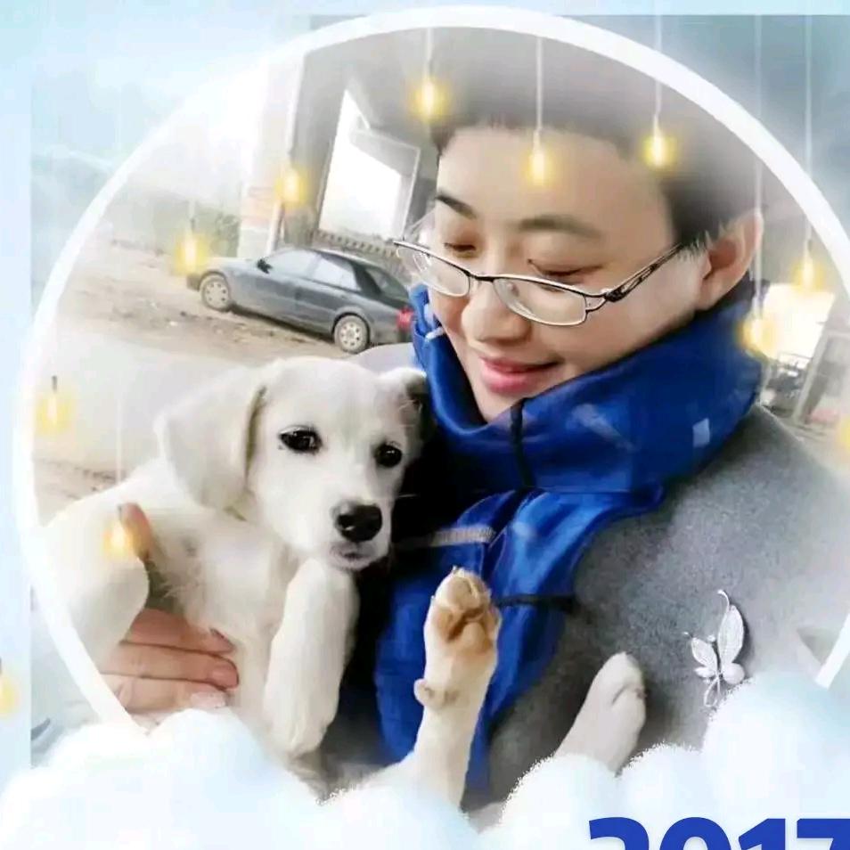 张律。念格。