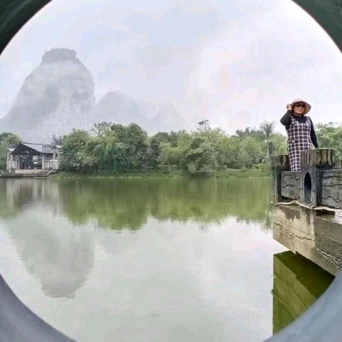 麦芽儿