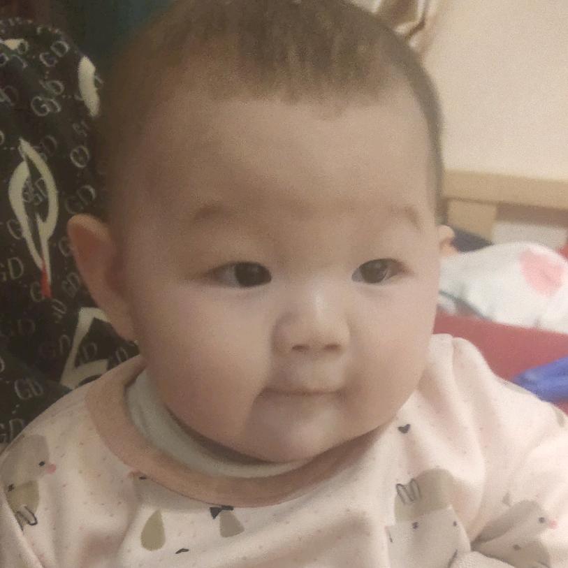 专业抓鸡队小宋