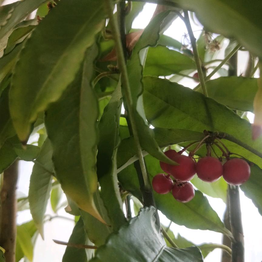 按摩仪源头工厂