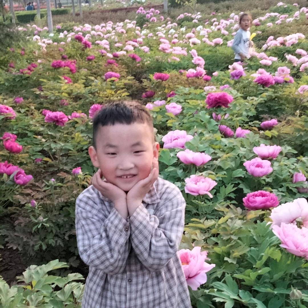 用户8131842399807小马宝贝