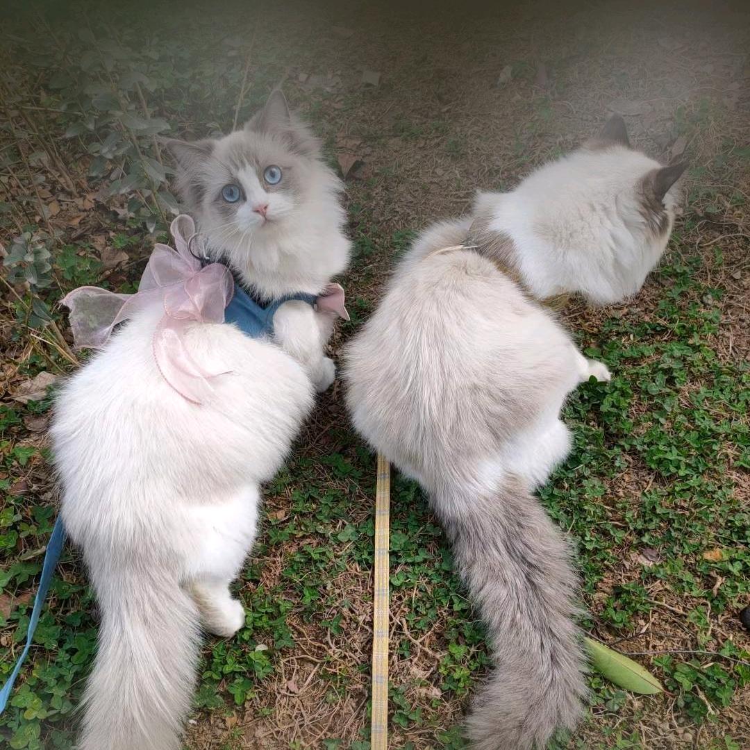嗨～是小方啊💞
