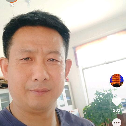 七星照