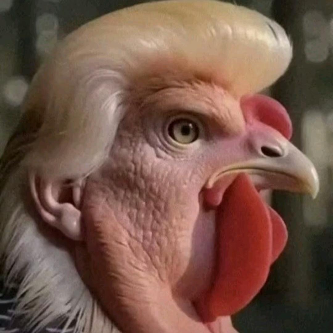 大个核桃喝雷碧