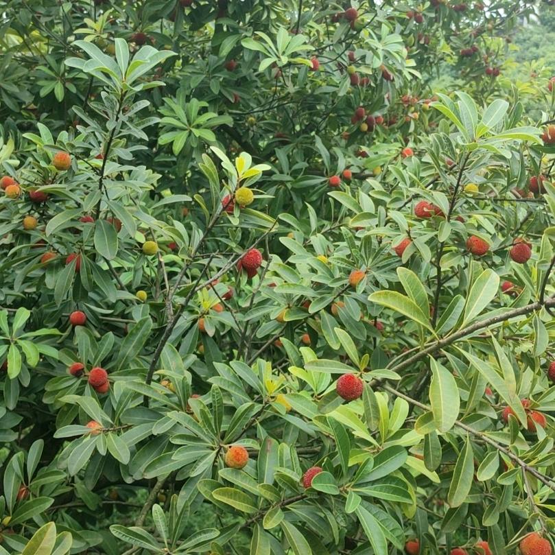 顺风又顺水