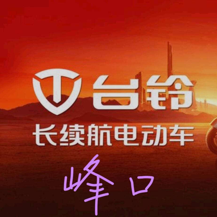 台铃电动车（峰口镇店）