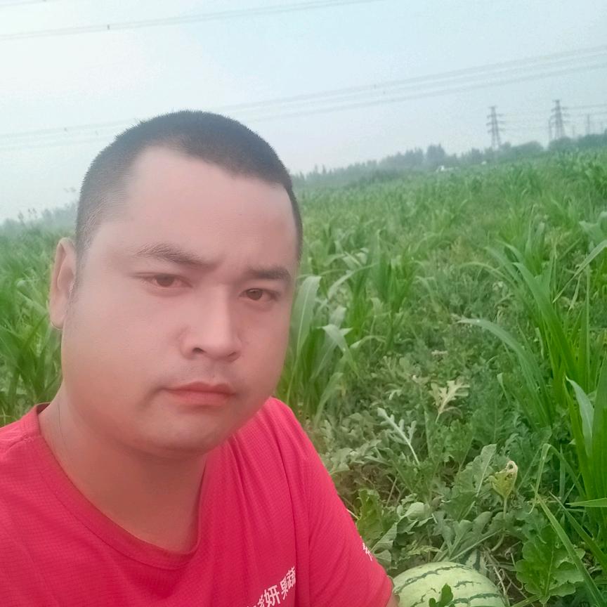 西瓜小哥   同学