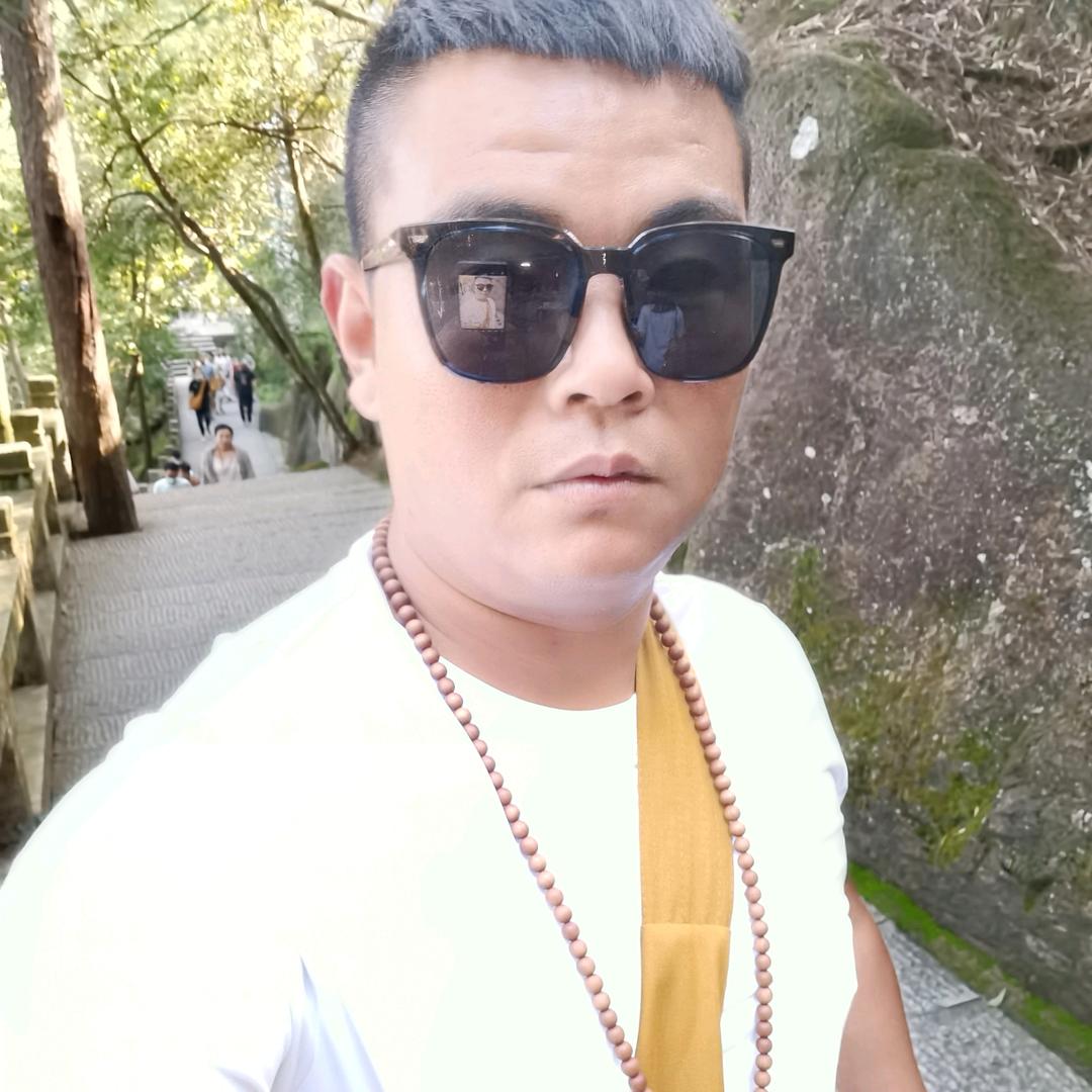 啄木鸟运输