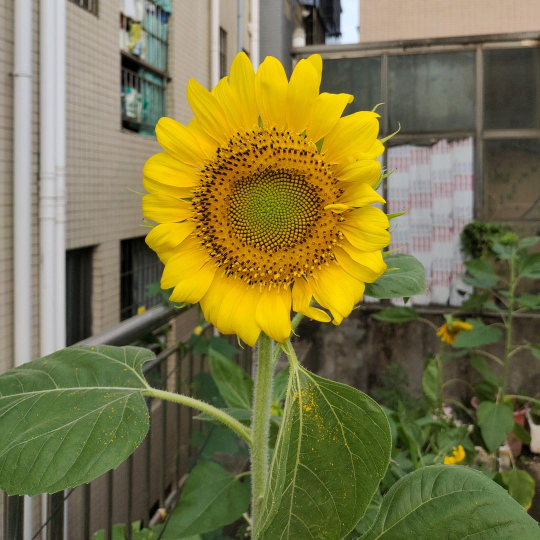 ໑ຼₒ₂₅