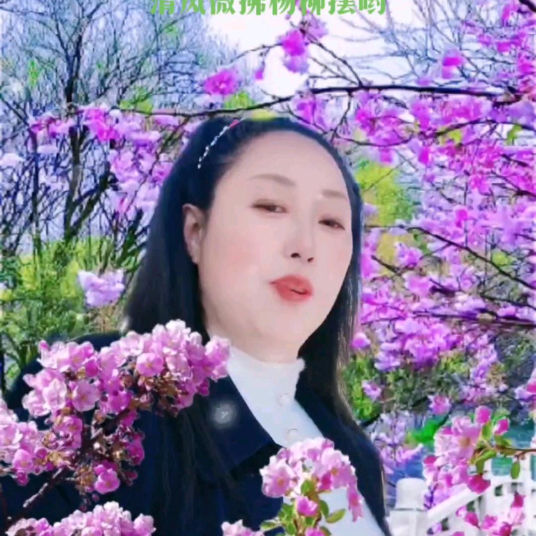 相信自己杨🌹🌹