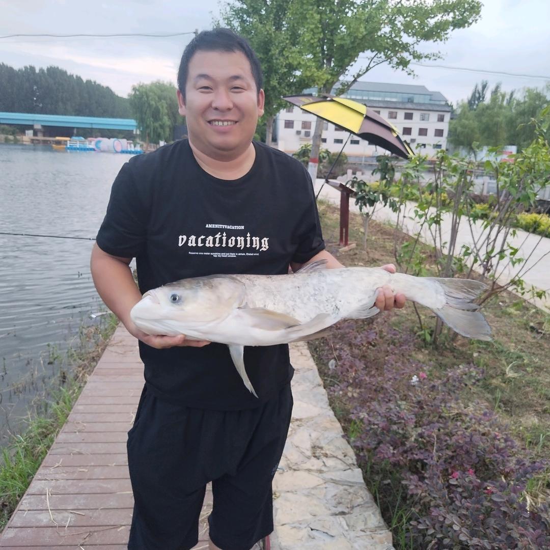 爱钓鱼的张小四（枣庄张将）