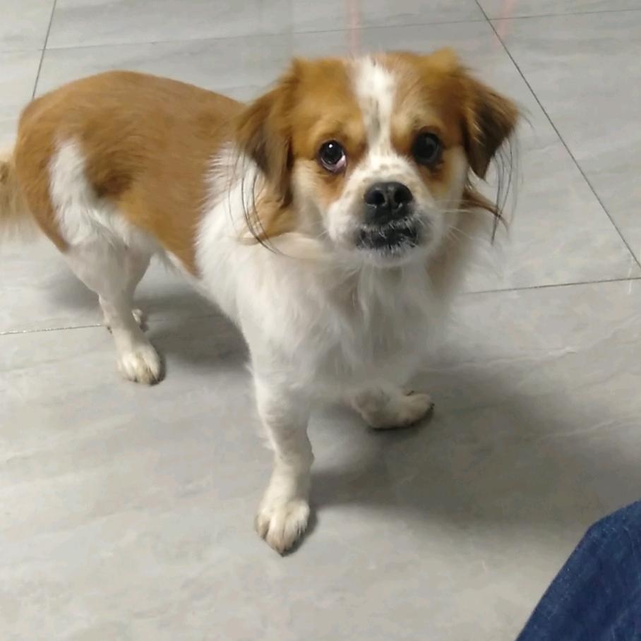 水、电、暖安装。