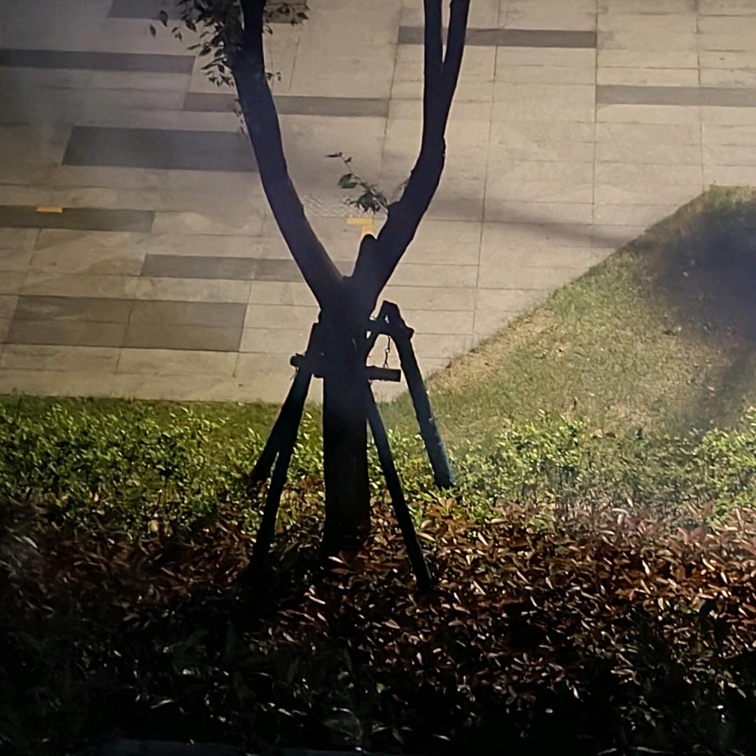 沫沫的直播号